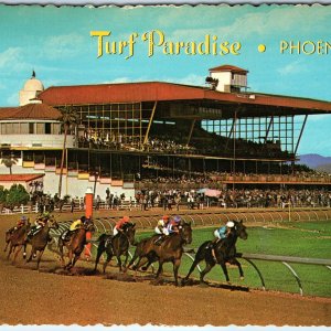 c1970s Phoenix, AZ Turf Paradise Horse Races Racetrack Thoroughbred 4x6 PC M11