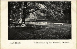 HAARLEM Hertenkamp bij het Koloniaal Museum NETHERLANDS (603319)