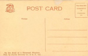 PNC Sepia Postcard 1932. Hackley Hall, Santa Cruz CA Unposted