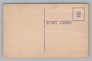 Robert Booth Bridge Umpqua Winchester Highway US 99 Oregon Postcard 