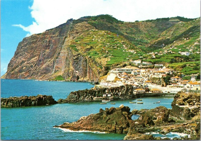 postcard Portugal Maderia - Camara de Lobos and the Cabo  Girao