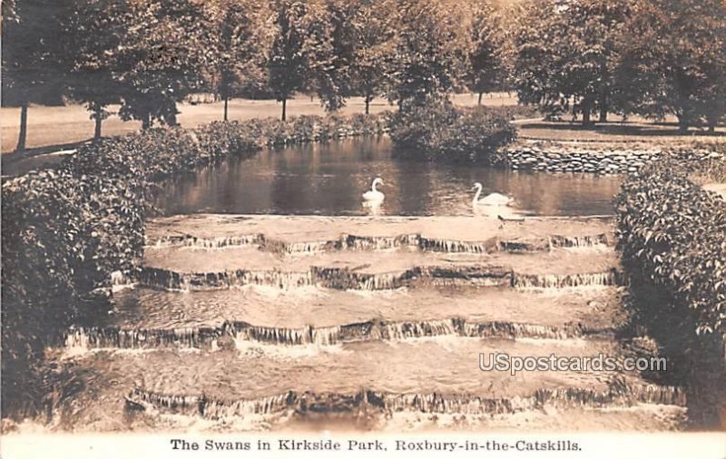 Swans in Kirkside Park - Roxbury in the Catskills, New York NY  