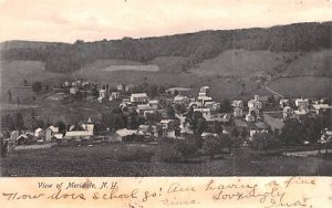 Bird's Eye View in Meridale, New York