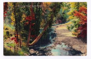 1930-1945 Flaming Foliage The Poconos Pocono Mountains Stroudsburg PA Postcard 