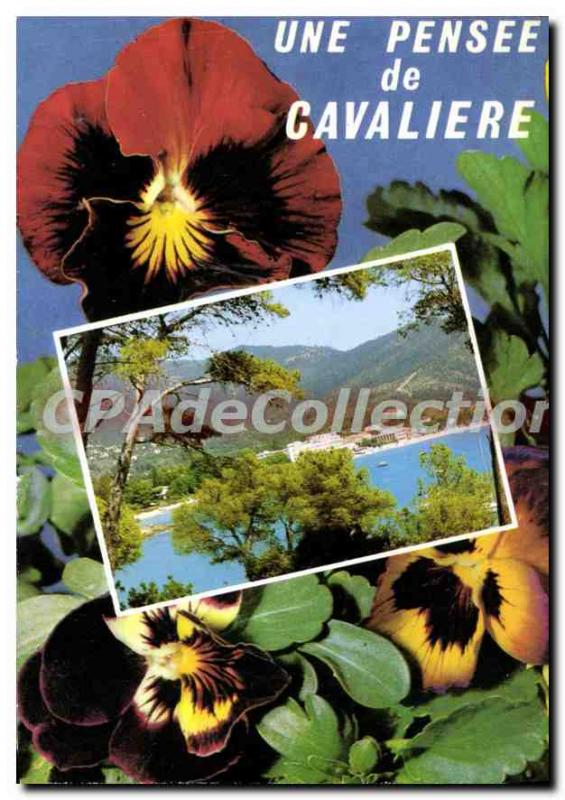 Modern Postcard Cote D'Azur Cavaliere