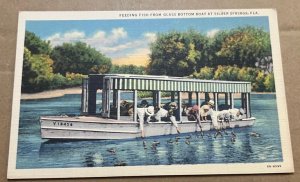 VINTAGE UNUSED .01 LINEN POSTCARD - FEEDING THE FISH, SILVER SPRINGS, FLORIDA