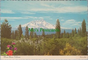 America Postcard - California, World Famous Mount Shasta  RR19171