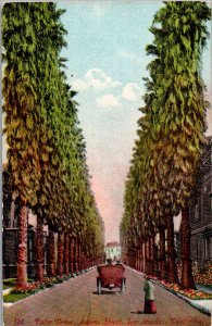 Los Angeles, California - Driving down Palm Drive, Adams Street - c1908