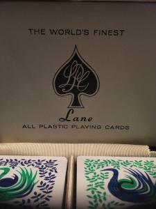 Vintage Lane All Plastic Playing Cards Double Deck with Case, Birds