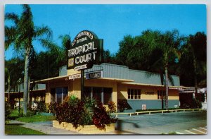 Roadside~Winter Park Florida~Tropical Motor Court~Parking~Sign~Palms~1950s PC