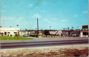 Vtg Hollywood Florida Delaware Chicken Farm Postcard