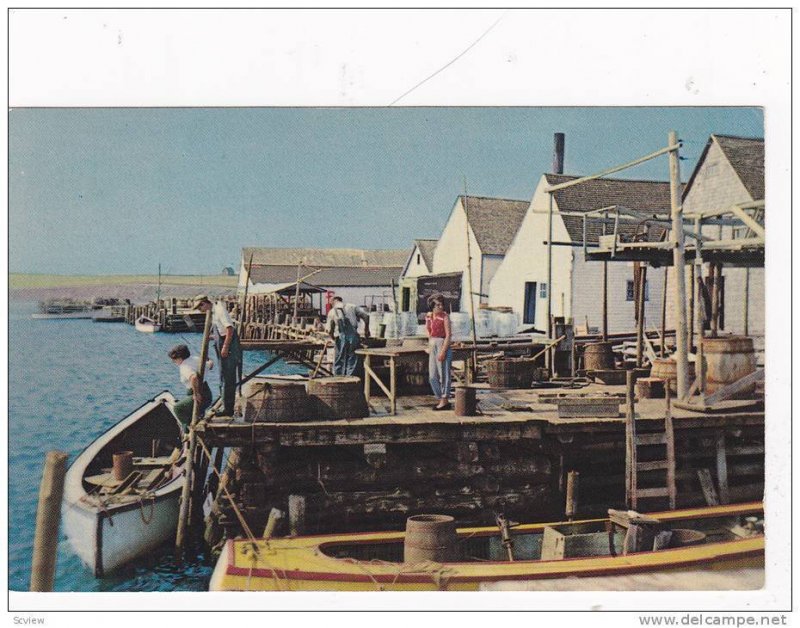 Rustico, Prince Edward Island,  Canada,  PU_1965