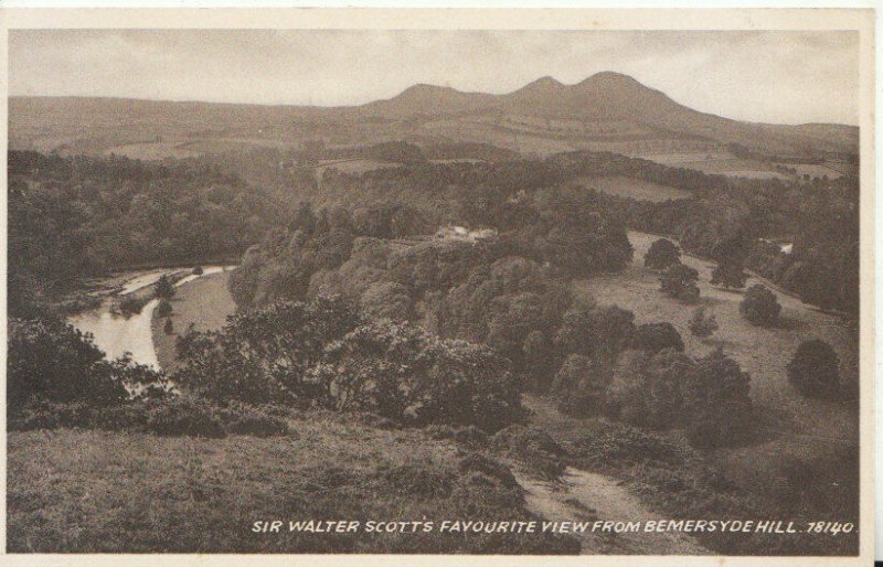 Scotland Postcard - Sir Walter Scott's Favourite View from Bemersyde Hill TZ8811