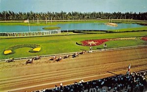 A thrilling finish at colorful Hialeah Race Course Florida  