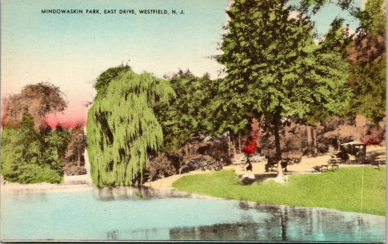 Vtg Westfield New Jersey NJ Mindowaskin Park East Drive Hand Colored Postcard