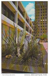 Arid Garden Showing Red Yucca in Bloom, First National Bank Bldg, Burnett Pla...