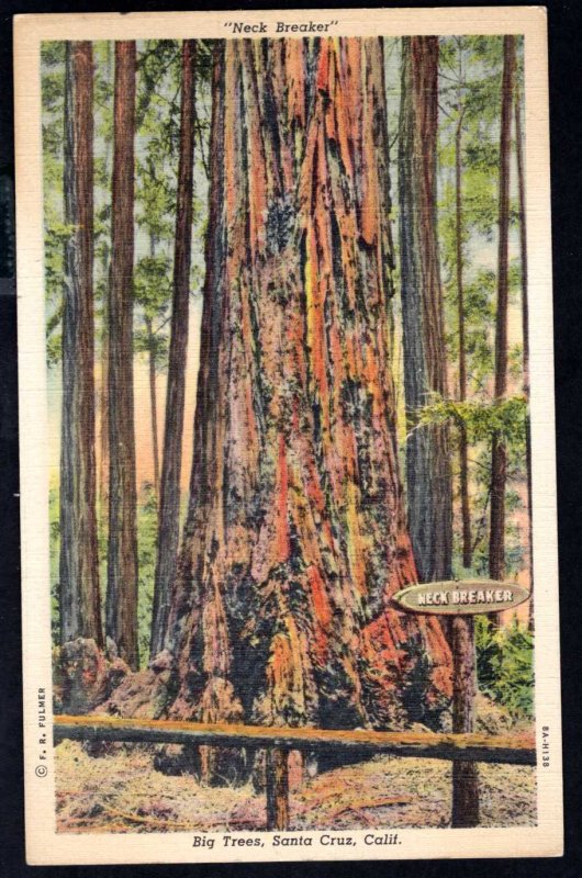 California SANTA CRUZ Big Trees Neck Breaker pm1940 ~ Linen