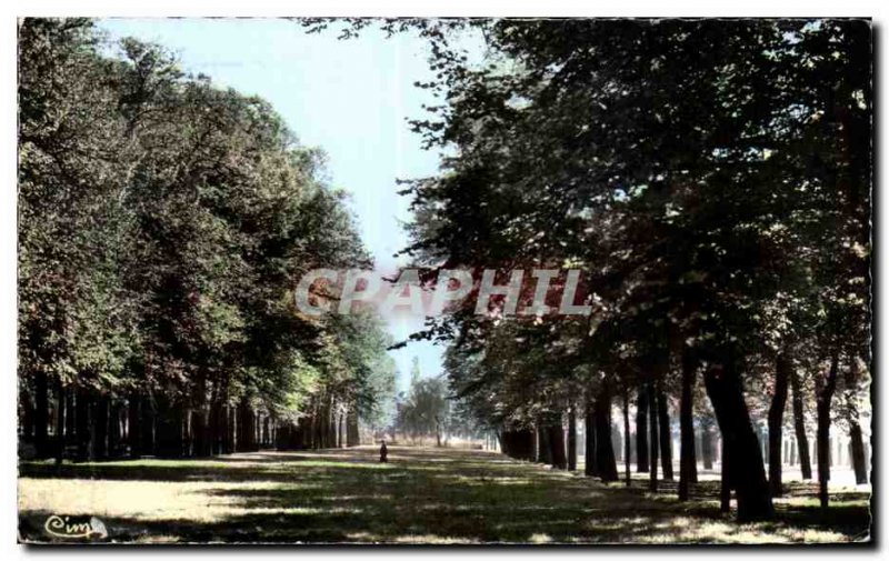 Old Postcard St Quentin Aisne Champs Elysees