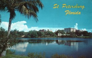 Vintage Postcard View of St. Petersburg Florida FL over Mirror Lake