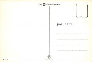 Crafty And Elusive Elk 