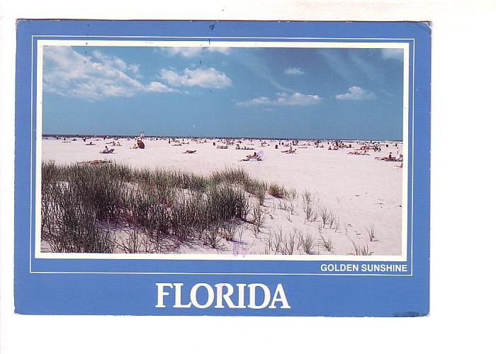 Many People on the Beach, Golden Sunshine, Florida, John Lantero