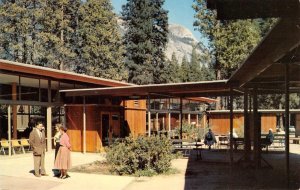 YOSEMITE LODGE Yosemite National Park, California c1950s Chrome Vintage Postcard