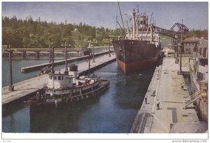 Government Locks,  Seattle,  Washington,   40-60s