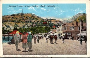 Crescent Avenue, Avalon, Catalina Island CA Vintage Postcard O79