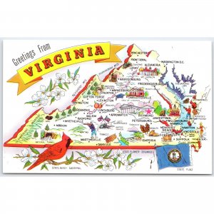 Postcard Greetings from Virginia Map State Bird Flower Flag