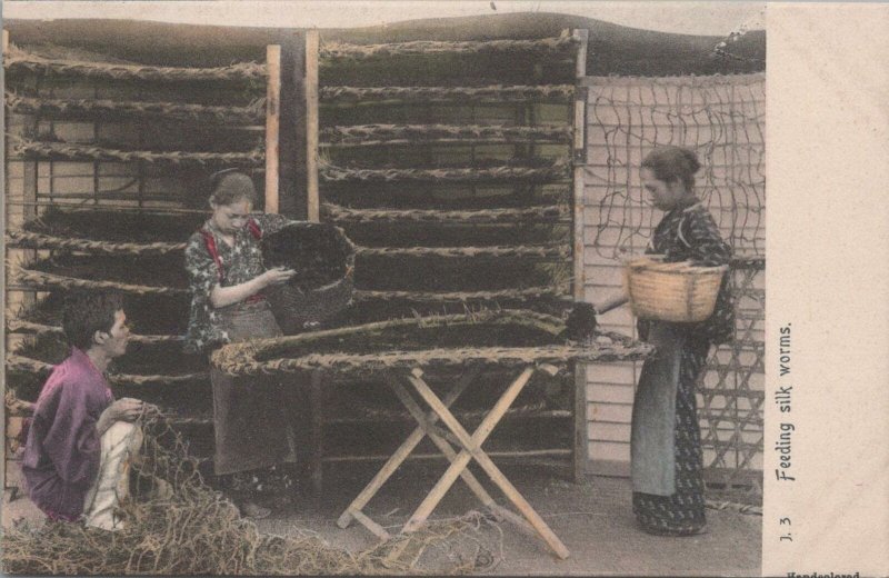 Postcard Japan Feeding Silk Worms