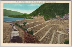 Watauga Dam & Lake Eastern Tennessee TVA Postcard Vintage H82