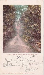 New Hampshire White Mountains Swasey Lane Bethleham  1903