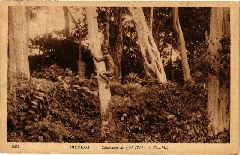 VIETNAM INDOCHINE - Bienhoa - Chercheur de miel (190105)