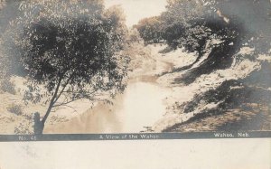 RPPC A VIEW OF THE WAHOO WAHOO NEBRASKA REAL PHOTO POSTCARD (c. 1910)