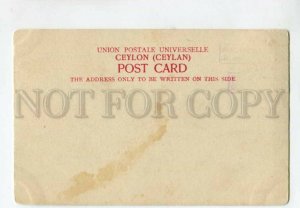 3116910 Ceylon MT.LAVINIA Vintage postcard