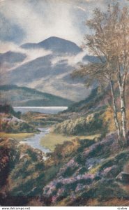 Through the Trossachs, 1910 ; TUCK 6679