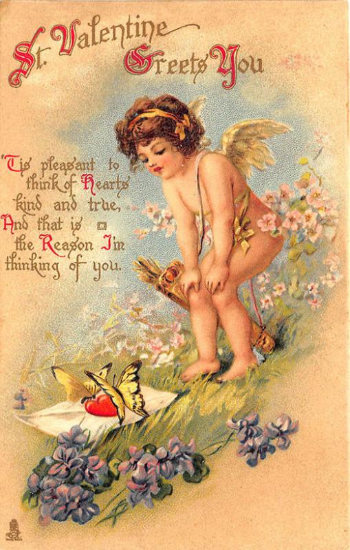 Saint Valentine's Greets You Raphael Tuck #221 Postcard
