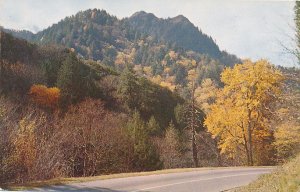 Autumn View of Chimney Tops - Smoky Mountains National Park TN, Tennessee