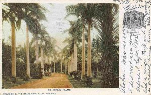 Royal Palms Honolulu Hawaii 1905 Private Mailing Card postcard