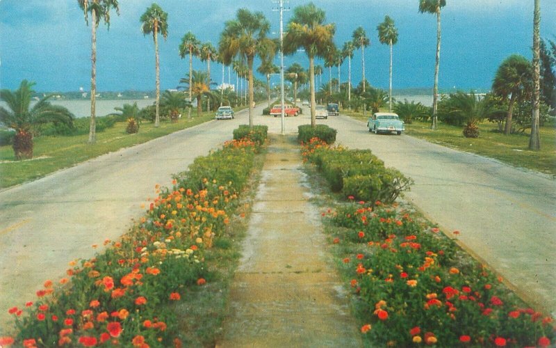 Clearwater Florida Flowerlined Causeway, Classic Cars 1969 Postcard Used