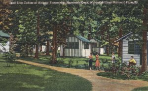 Vintage Postcard Trailside Cabins Mammoth Cave Entrance National Park Kentucky