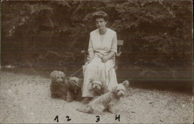 Woman & 4 Dogs - Terriers? West Highland? c1910 Real Photo Postcard