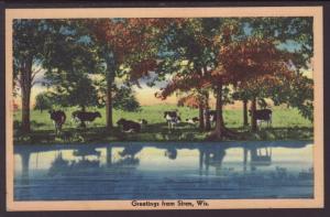Greetings From Siren,WI,Cattle Postcard