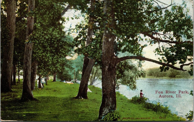 Vtg 1910s Fox River Park Aurora Illinois IL Postcard