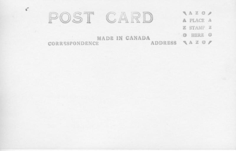 Portion of Revelstoke BC, Canada, Aerial, Revelstoke Drug Co. Postcard RPPC