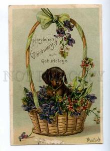 189915 DACHSHUND in Flowers VIOLETS by MAILICK old EMBOSSED PC