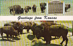 Kansas Greetings Hay Old Fort Hays Buffalo Reservation
