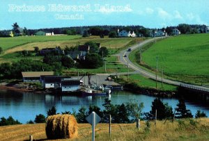 CONTINENTAL SIZE POSTCARD COUNTRY SCENE ON PRINCE EDWARD ISLAND CANADA