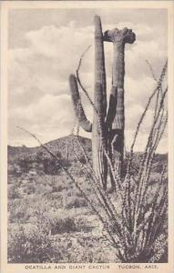 Arizona Tucson Ocatilla And Giant Cactus  Albertype