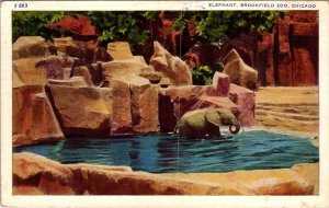 Elephant,Brookfield Zoo,Chicago,IL BIN